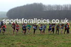 Boys under-13s 2022 North Eastern Harrier League, Thornley Farm, Peterlee, County Durham. Photo: David T. Hewitson/Sports for All Pics
